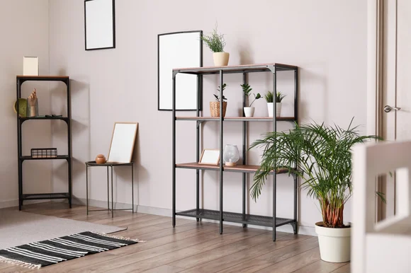 Zimmerecke mit Regal und Pflanzen